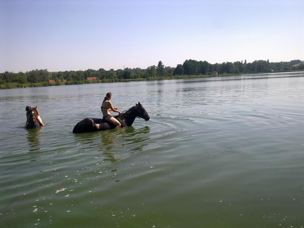 Agropension U háje Litomysl Bagian luar foto
